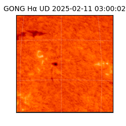 gong - 2025-02-11T03:00:02