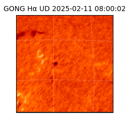 gong - 2025-02-11T08:00:02