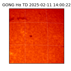 gong - 2025-02-11T14:00:22