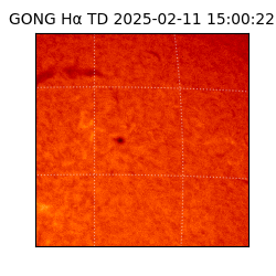 gong - 2025-02-11T15:00:22