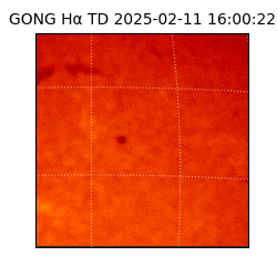 gong - 2025-02-11T16:00:22