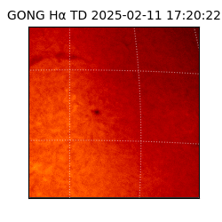 gong - 2025-02-11T17:20:22