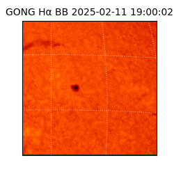 gong - 2025-02-11T19:00:02