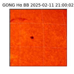 gong - 2025-02-11T21:00:02