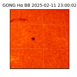 gong - 2025-02-11T23:00:02