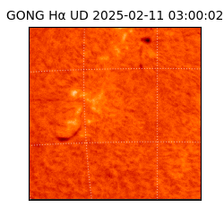 gong - 2025-02-11T03:00:02