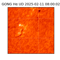 gong - 2025-02-11T08:00:02