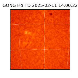 gong - 2025-02-11T14:00:22