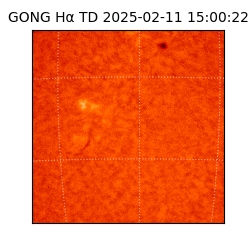 gong - 2025-02-11T15:00:22