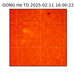 gong - 2025-02-11T16:00:22