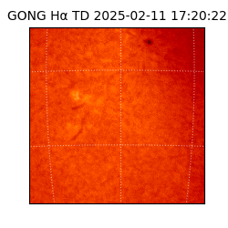gong - 2025-02-11T17:20:22
