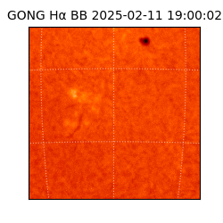 gong - 2025-02-11T19:00:02