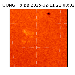 gong - 2025-02-11T21:00:02