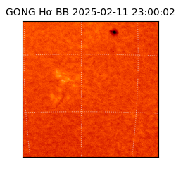 gong - 2025-02-11T23:00:02