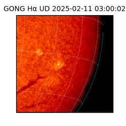 gong - 2025-02-11T03:00:02