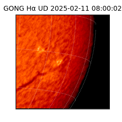 gong - 2025-02-11T08:00:02