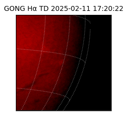 gong - 2025-02-11T17:20:22