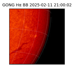 gong - 2025-02-11T21:00:02