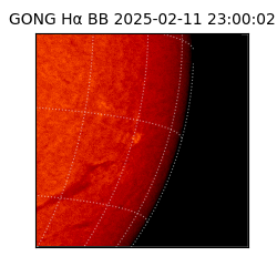 gong - 2025-02-11T23:00:02