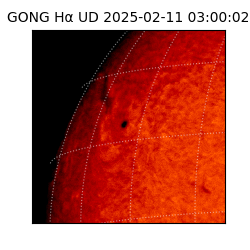 gong - 2025-02-11T03:00:02