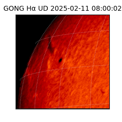 gong - 2025-02-11T08:00:02