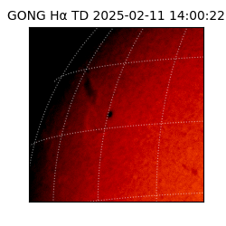 gong - 2025-02-11T14:00:22
