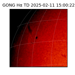 gong - 2025-02-11T15:00:22