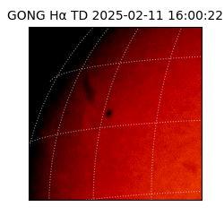 gong - 2025-02-11T16:00:22