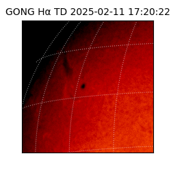 gong - 2025-02-11T17:20:22