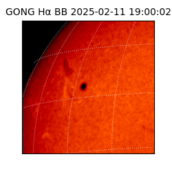 gong - 2025-02-11T19:00:02