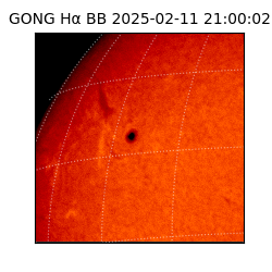 gong - 2025-02-11T21:00:02