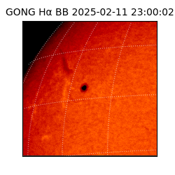 gong - 2025-02-11T23:00:02