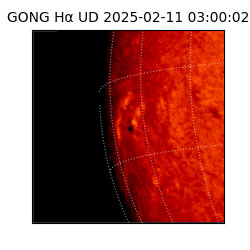 gong - 2025-02-11T03:00:02