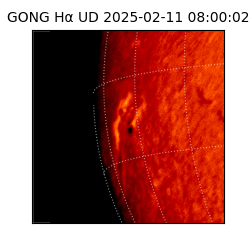 gong - 2025-02-11T08:00:02