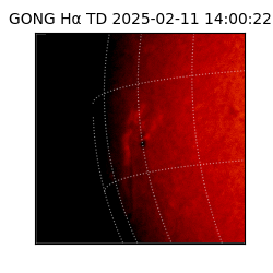 gong - 2025-02-11T14:00:22