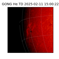 gong - 2025-02-11T15:00:22