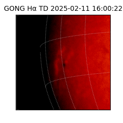 gong - 2025-02-11T16:00:22