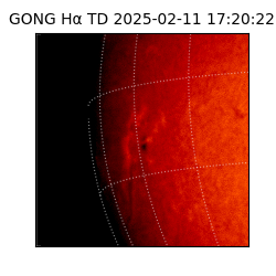 gong - 2025-02-11T17:20:22