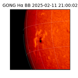 gong - 2025-02-11T21:00:02