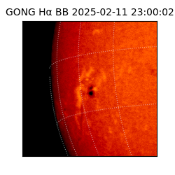 gong - 2025-02-11T23:00:02