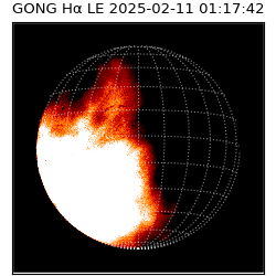 gong - 2025-02-11T01:17:42