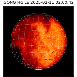 gong - 2025-02-11T02:00:42
