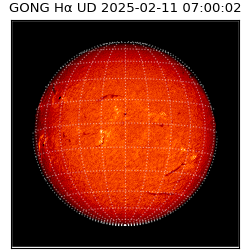 gong - 2025-02-11T07:00:02