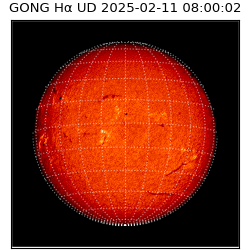 gong - 2025-02-11T08:00:02