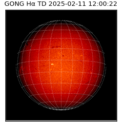 gong - 2025-02-11T12:00:22