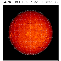 gong - 2025-02-11T18:00:42