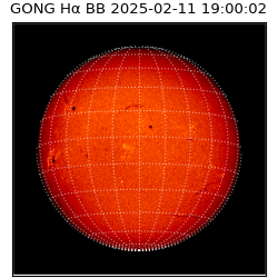 gong - 2025-02-11T19:00:02