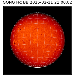 gong - 2025-02-11T21:00:02