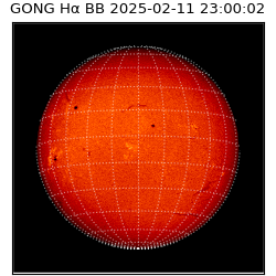 gong - 2025-02-11T23:00:02