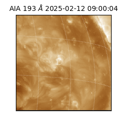 saia - 2025-02-12T09:00:04.843000